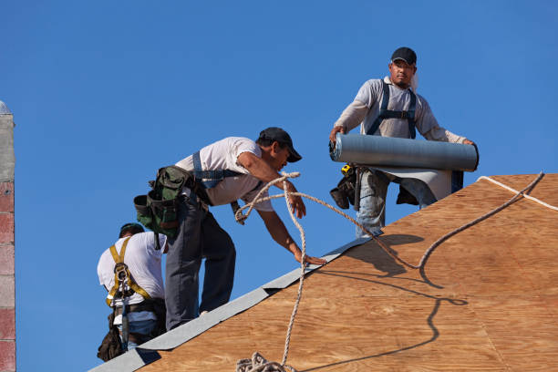 Best Roof Leak Repair  in Brooklet, GA
