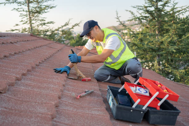 Professional Roofing Contractor in Brooklet, GA
